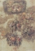 Giovanni da Udine Studi di mazzi di fiori e frutti. Penna e inchiostro bruno, acquarellato con pigmenti colorati e lumeggiato in bianco, 292x200 mm. Vienna, Albertina [1024x768]